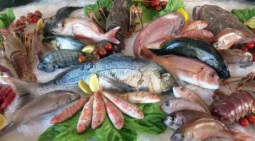 أسعار الأسماك والجمبري في سوق العبور الأحد 23 نوفمبر 2025: تحديث شامل للمستهلكين والباعة